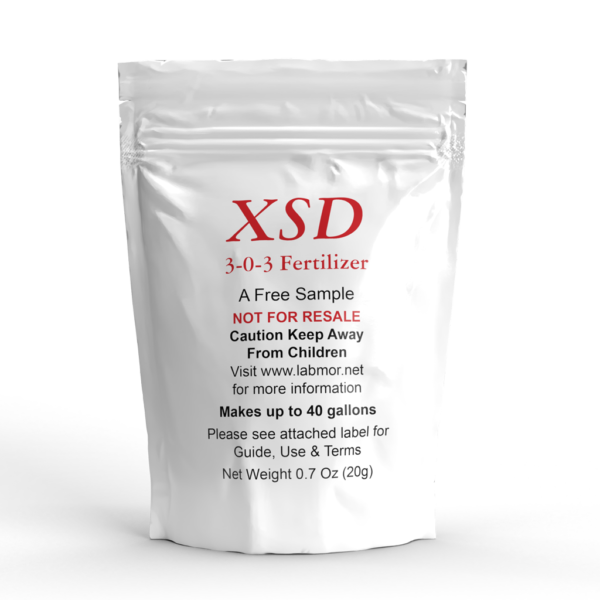 Free Sample of XSD